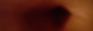 20060416172857-regulnreguln4ea.jpg